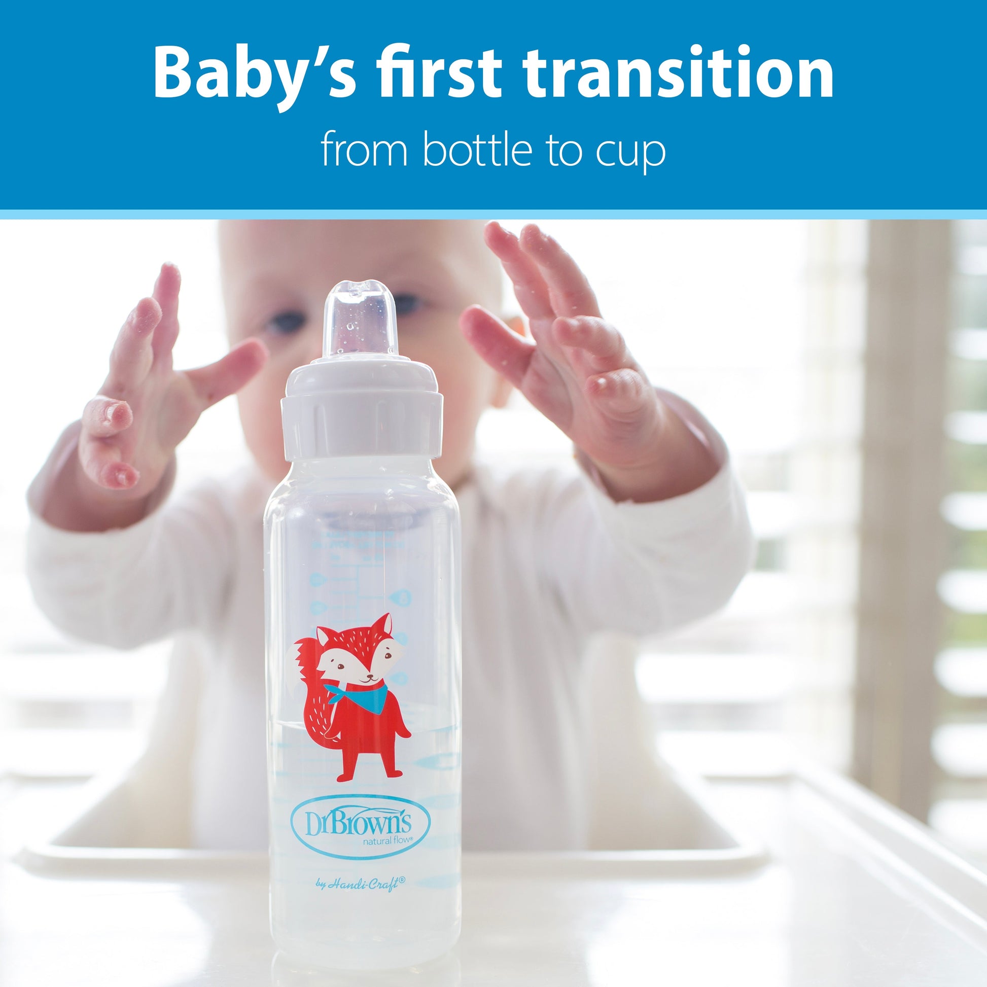 Dr. Brown's® Milestones™ Narrow Sippy Bottle, 8oz/250mL, 6m+