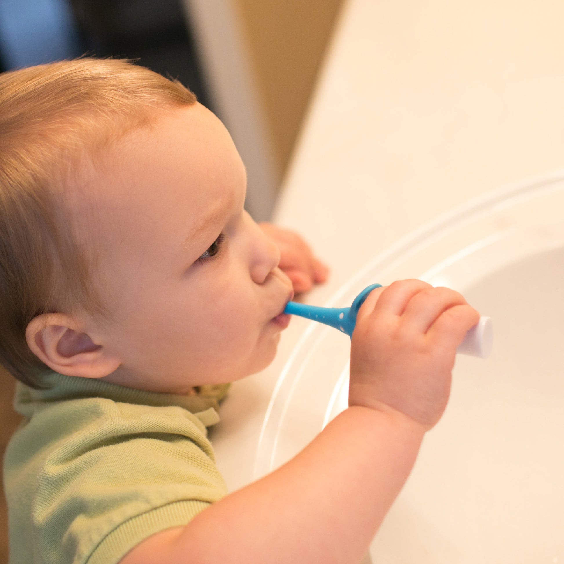 Dr. Brown's Infant-to-Toddler Toothbrush, Elephant, 1-Pack
