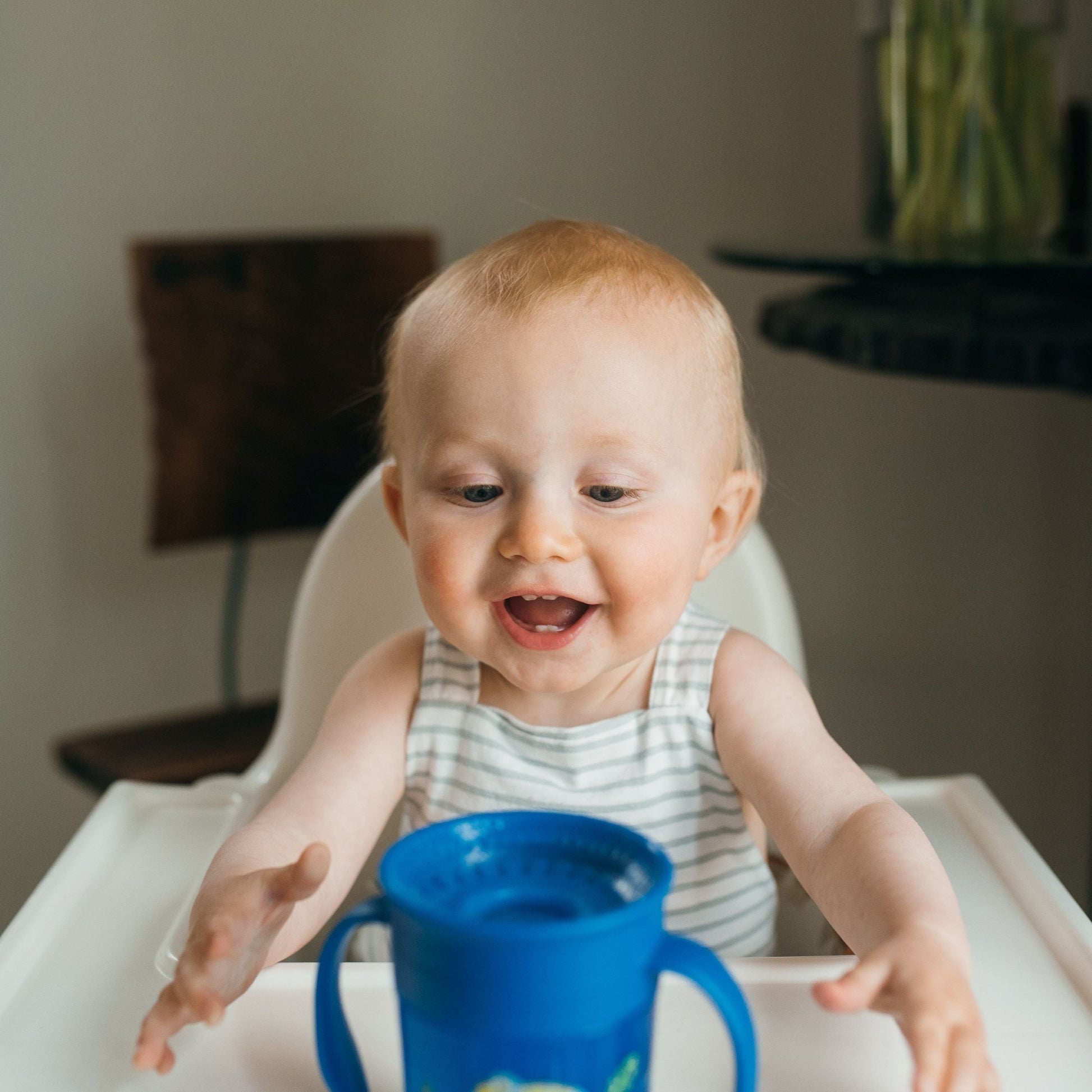 Dr. Brown’s® Milestones™ Cheers360™ Cup with Handles, 7 oz/200 Ml
